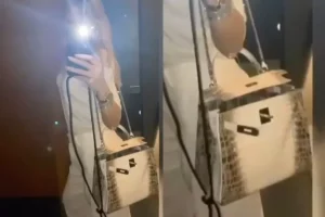 Kelly bag
